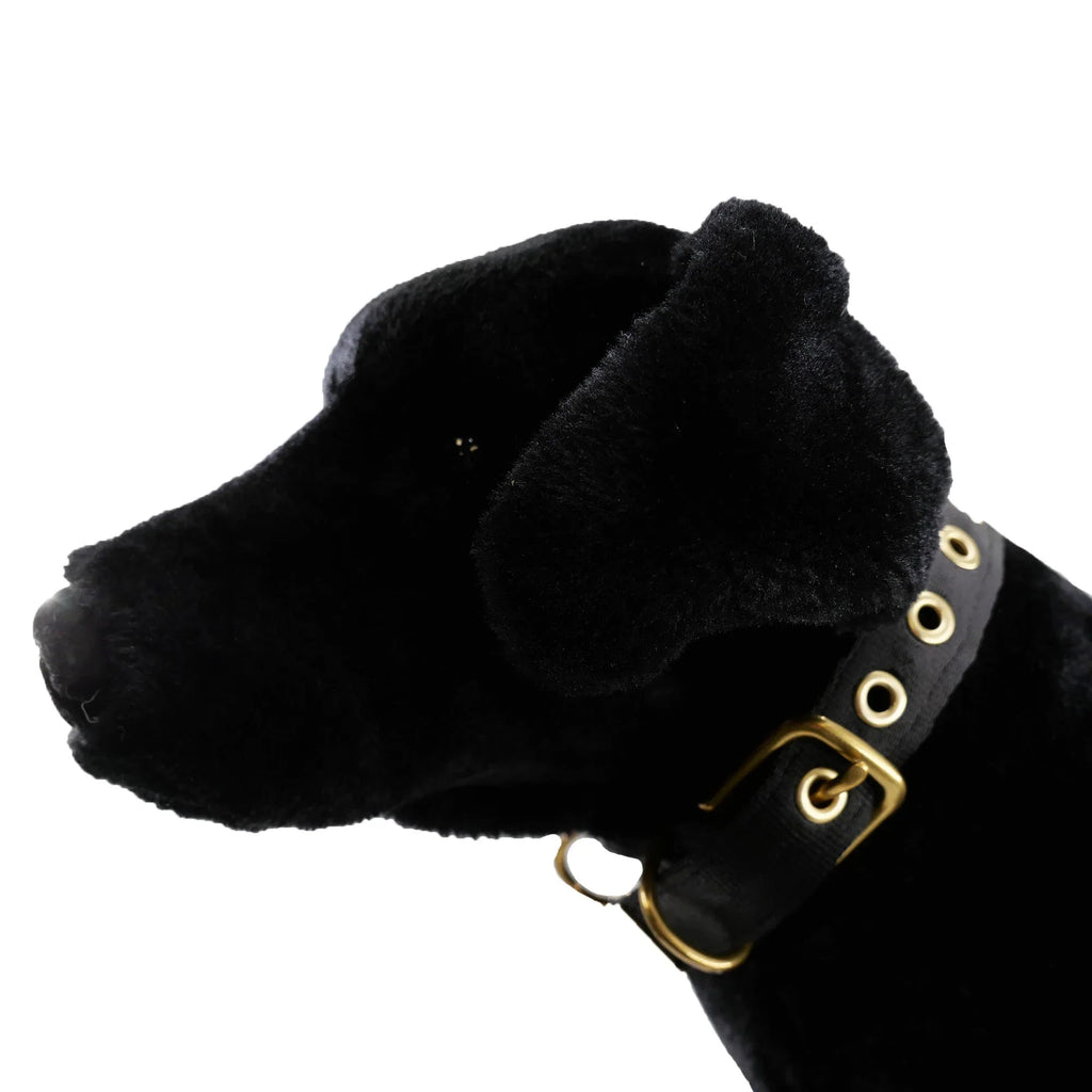 Collars Seatbelt 10 - MiniPaw Luxe