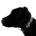 Collars Seatbelt 10 - MiniPaw Luxe