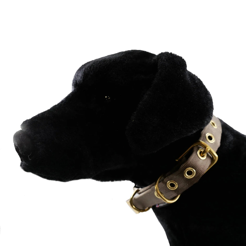 Collars Seatbelt 13 - MiniPaw Luxe
