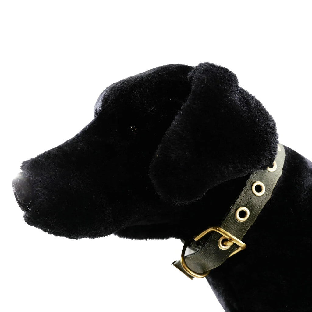 Collars Seatbelt 16 - MiniPaw Luxe