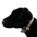 Collars Seatbelt 16 - MiniPaw Luxe