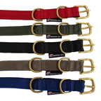 Collars Seatbelt 17 - MiniPaw Luxe