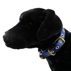 Collars Seatbelt 2 - MiniPaw Luxe