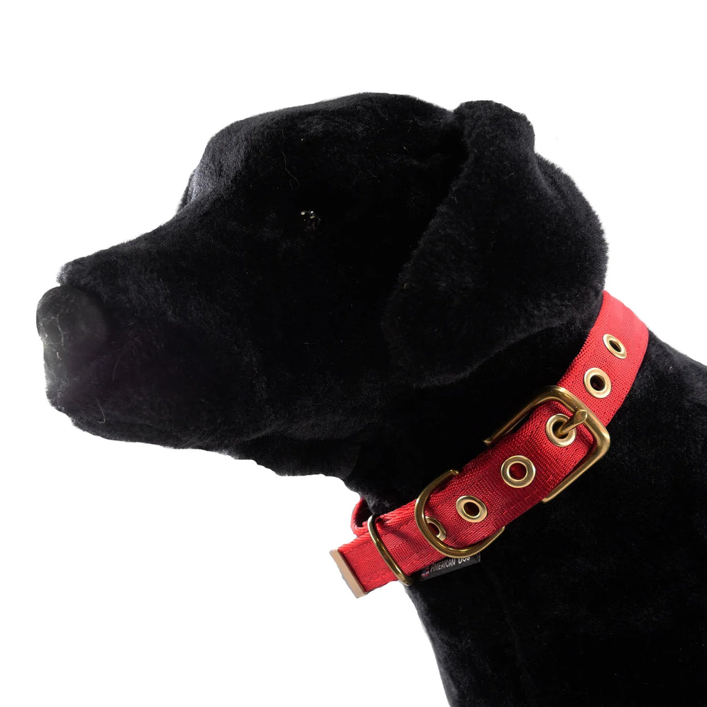 Collars Seatbelt 7 - MiniPaw Luxe
