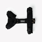 Comfort Harness - Black 2 - MiniPaw Luxe