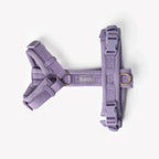 Comfort Harness - Lavender 2 - MiniPaw Luxe