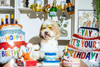 Cupcake 11 - MiniPaw Luxe