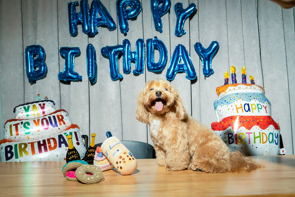Cupcake 12 - MiniPaw Luxe