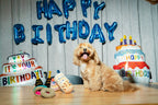 Cupcake 12 - MiniPaw Luxe