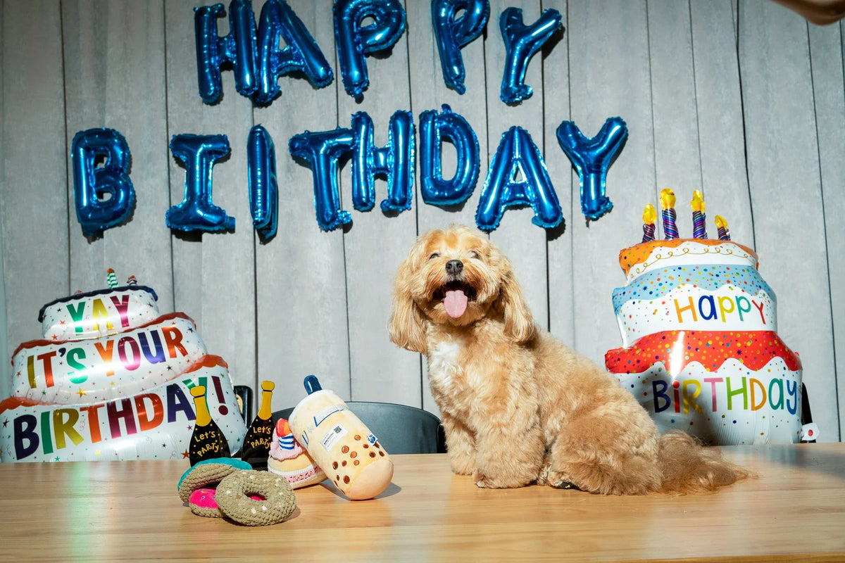 Cupcake 12 - MiniPaw Luxe