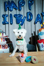 Cupcake 13 - MiniPaw Luxe