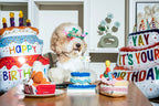 Cupcake 14 - MiniPaw Luxe