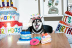 Cupcake 15 - MiniPaw Luxe