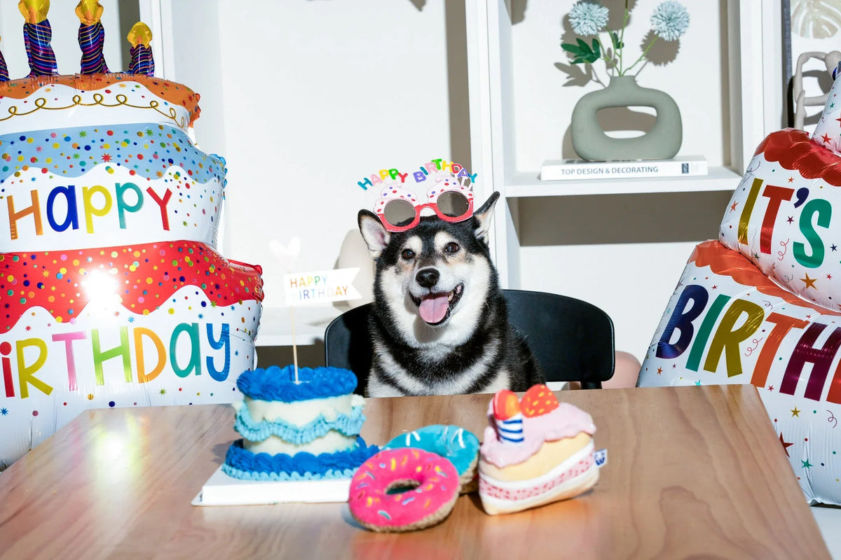 Cupcake 15 - MiniPaw Luxe