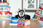 Cupcake 16 - MiniPaw Luxe