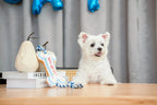 Cupcake 17 - MiniPaw Luxe
