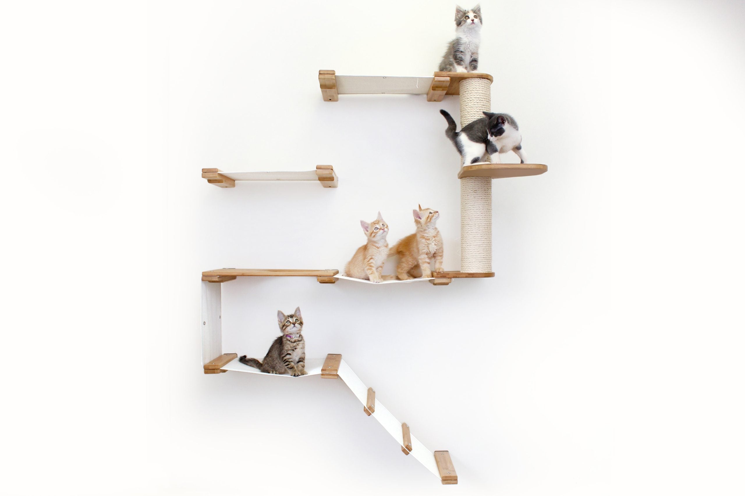 The Deluxe Cat Fort - Modern Cat Condo