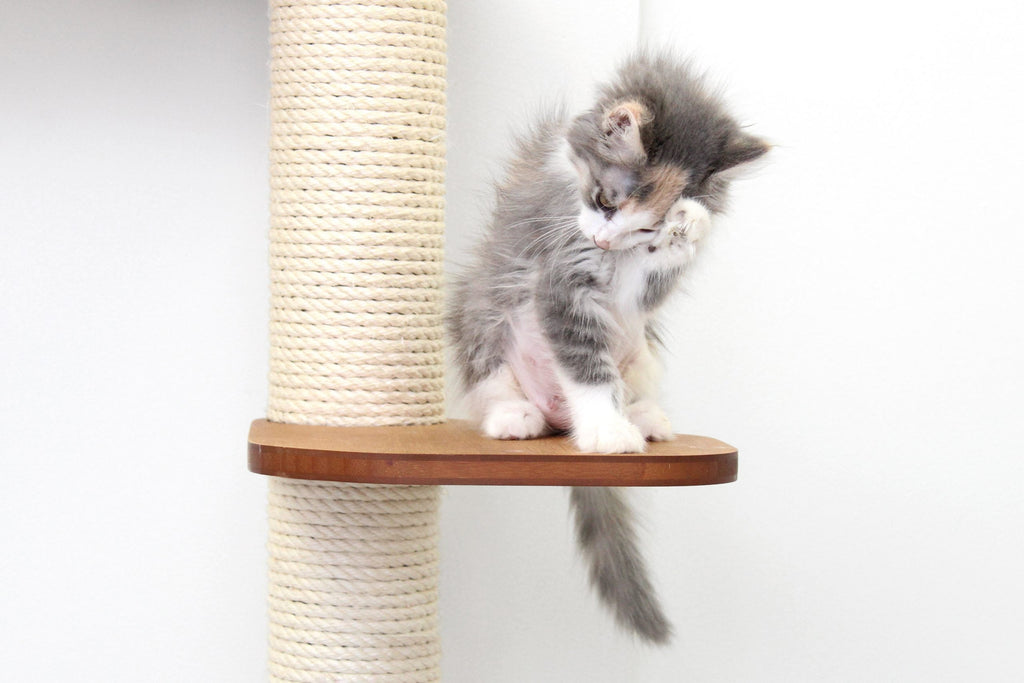 The Deluxe Cat Fort - Modern Cat Condo
