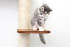 The Deluxe Cat Fort - Modern Cat Condo