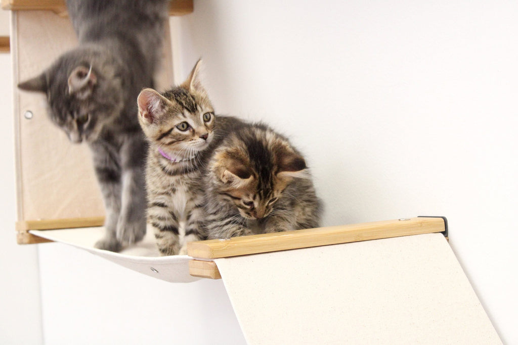 The Deluxe Cat Fort - Modern Cat Condo