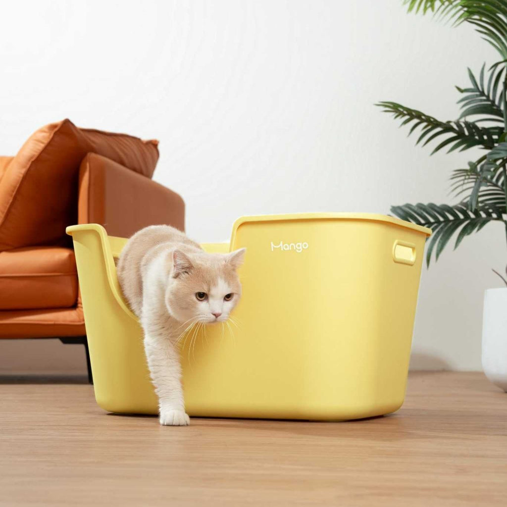 Butter Litter Box XL Set | Extra Large Litter Box with Accessories