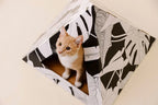 'Dark Paradise' Cat Pyramid 6 - MiniPaw Luxe