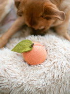 Doggy Peach 5 - MiniPaw Luxe