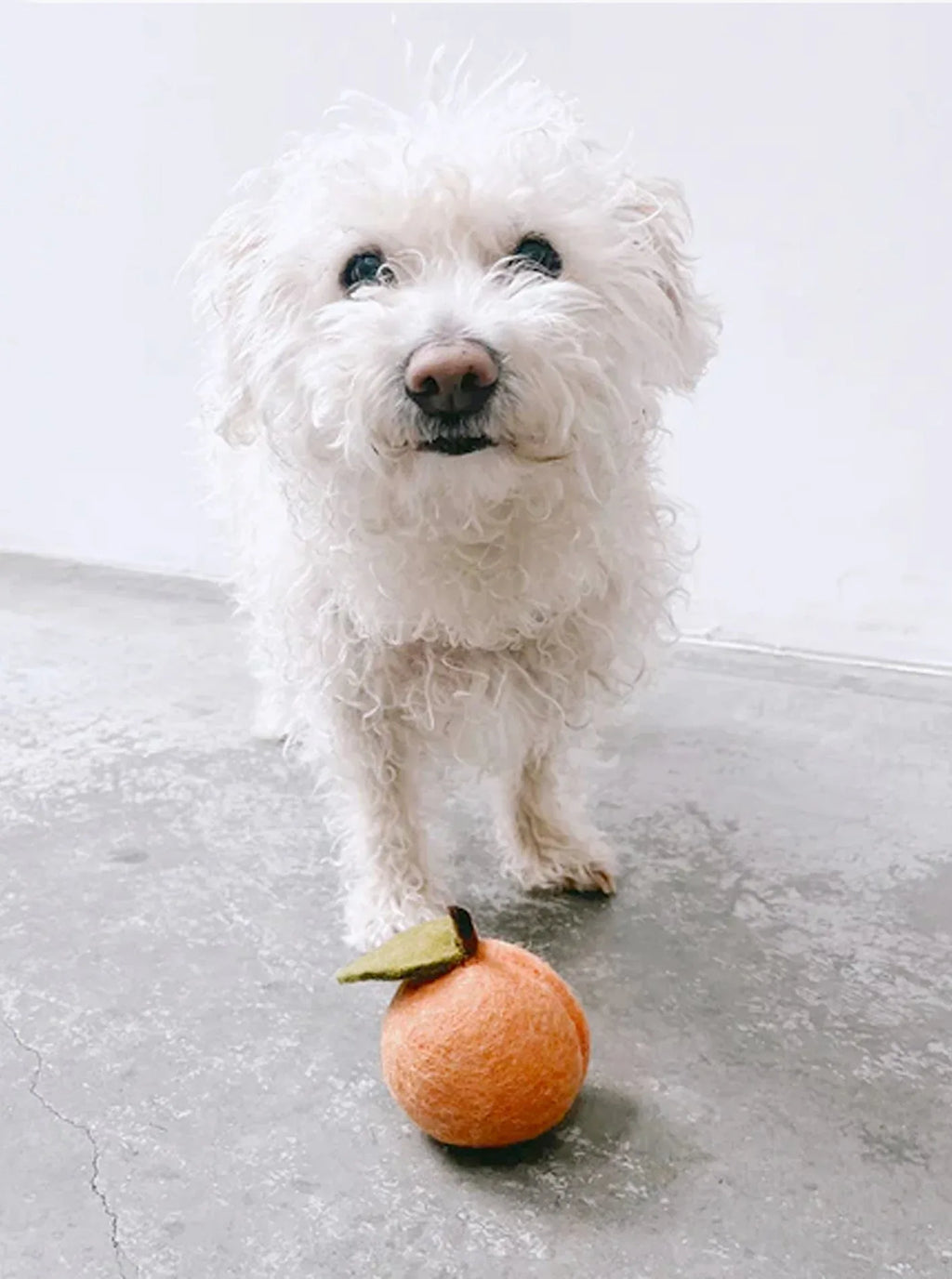 Doggy Peach 7 - MiniPaw Luxe