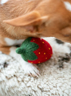 Doggy Strawberry 5 - MiniPaw Luxe