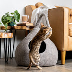Earth Brown | Tail Style Cave 4 - MiniPaw Luxe