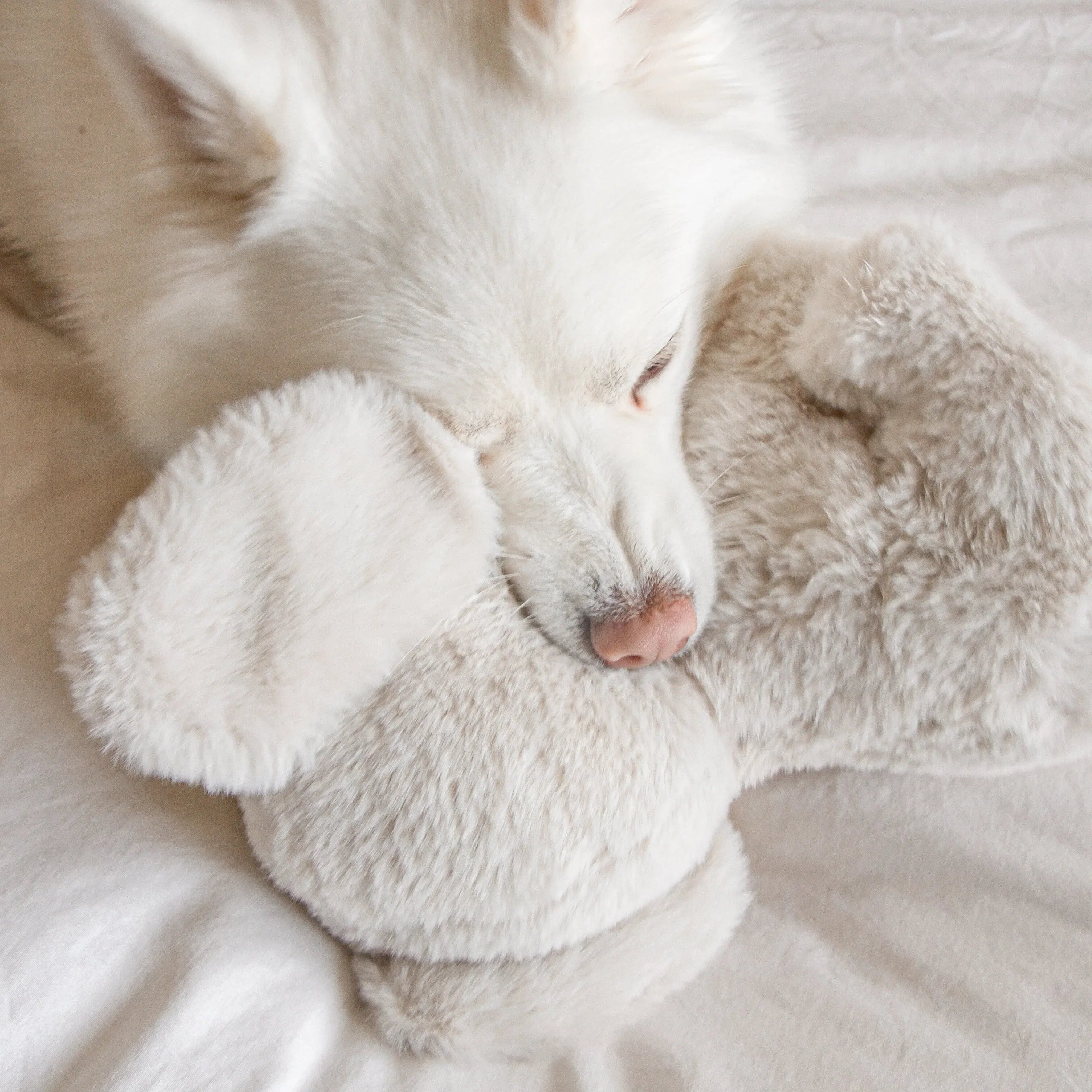 Ella Plush Toy | Maxi 5 - MiniPaw Luxe