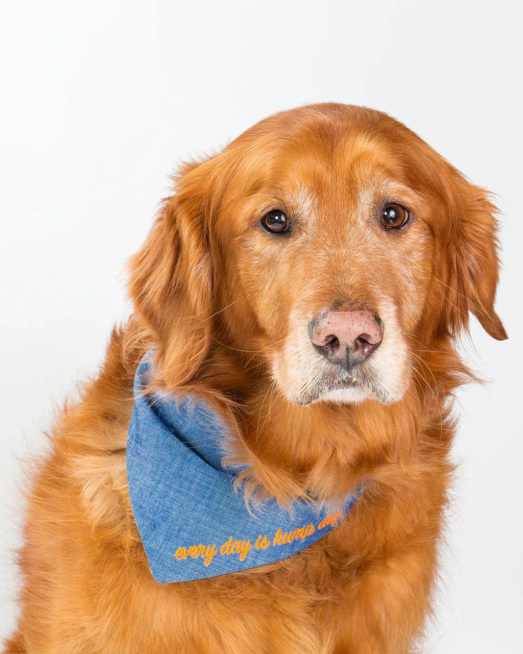 Embroidered Bandana 6 - MiniPaw Luxe