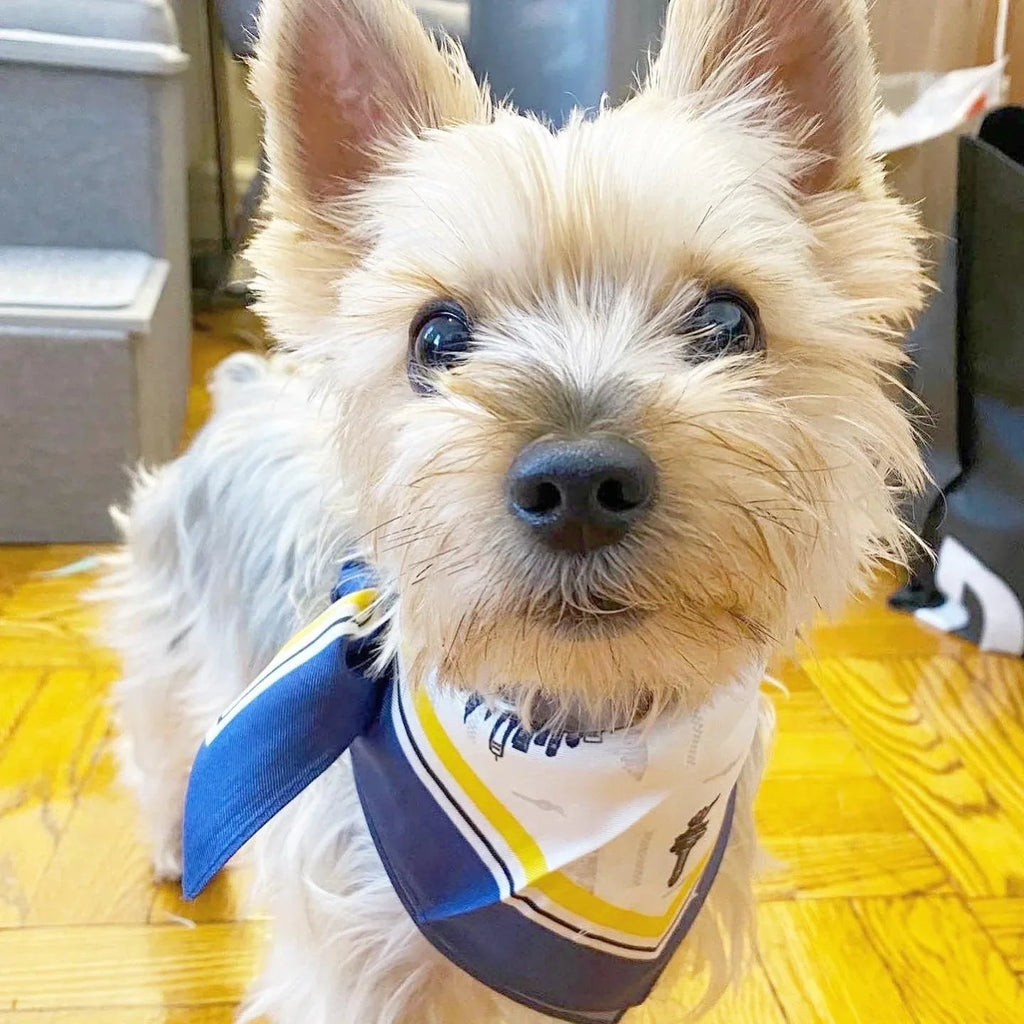 Erin Silk Twill Dog Scarf or Bandana 3 - MiniPaw Luxe