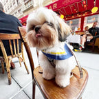 Erin Silk Twill Dog Scarf or Bandana 4 - MiniPaw Luxe