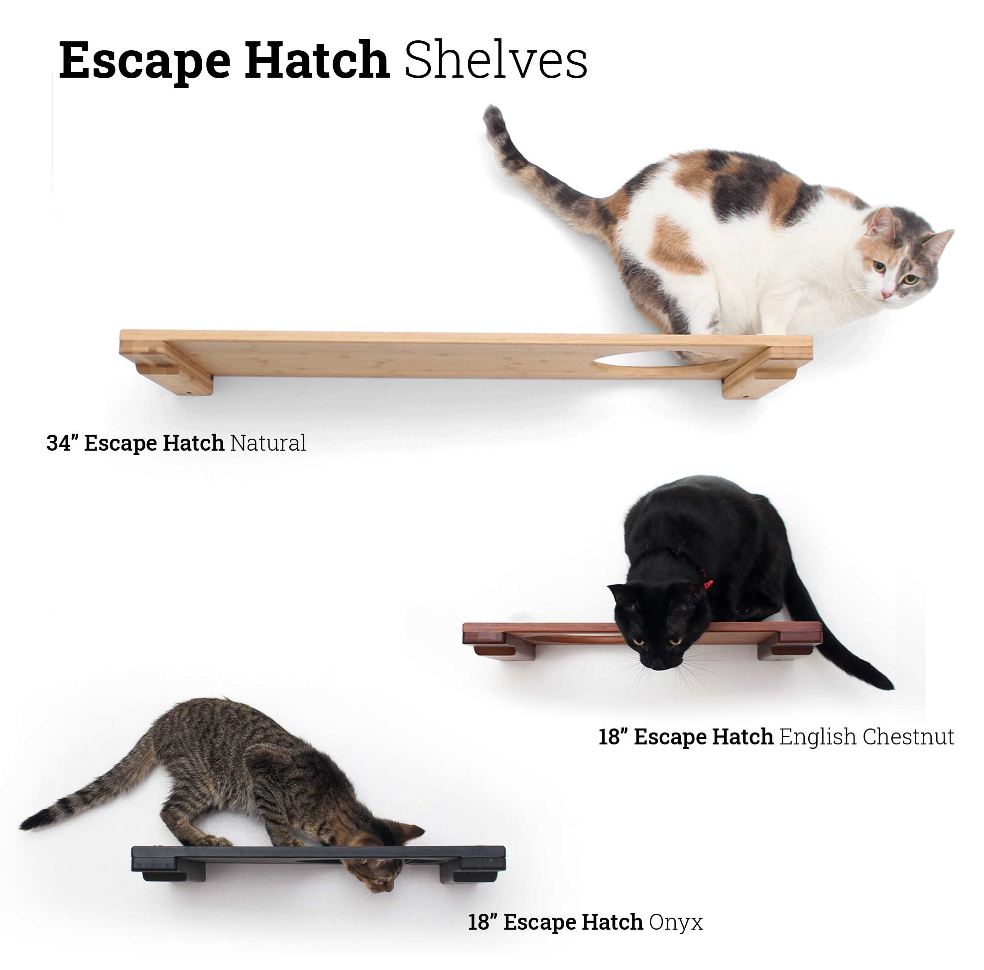 Wall Mounted Cat Shelf