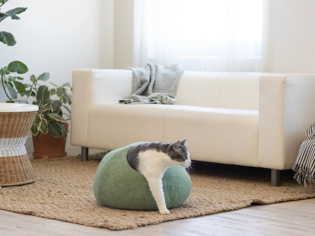 Eucalyptus Green | Round Style Cave 2 - MiniPaw Luxe