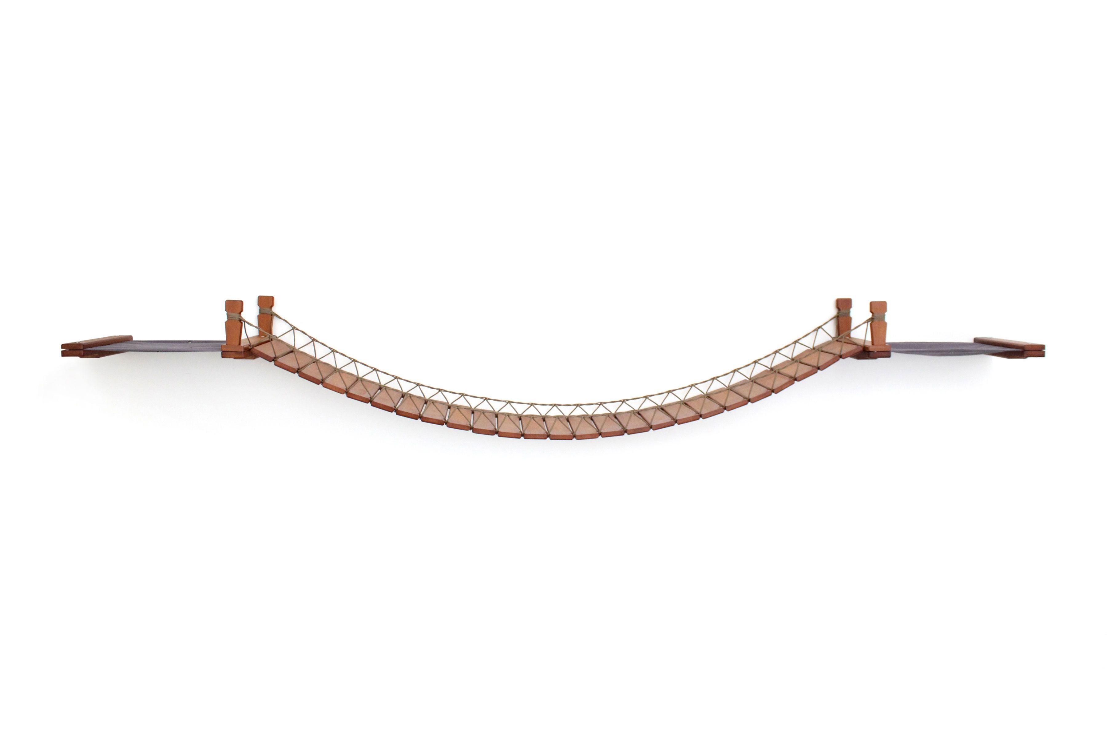 Double Cat Hammock and Climbing Bridge Combo
