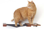 Dog Proof Cat Feeder - Wall-Mounted - Raised