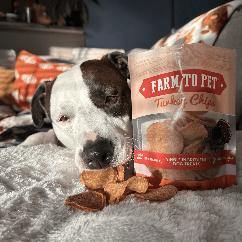 Turkey Chips for Pets | All-Natural Single-Ingredient Healthy Pet Treats