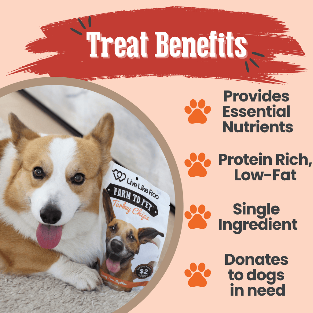 Live Like Roo Turkey Chips | Treats That Give Back
