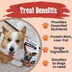 Live Like Roo Turkey Chips | Treats That Give Back