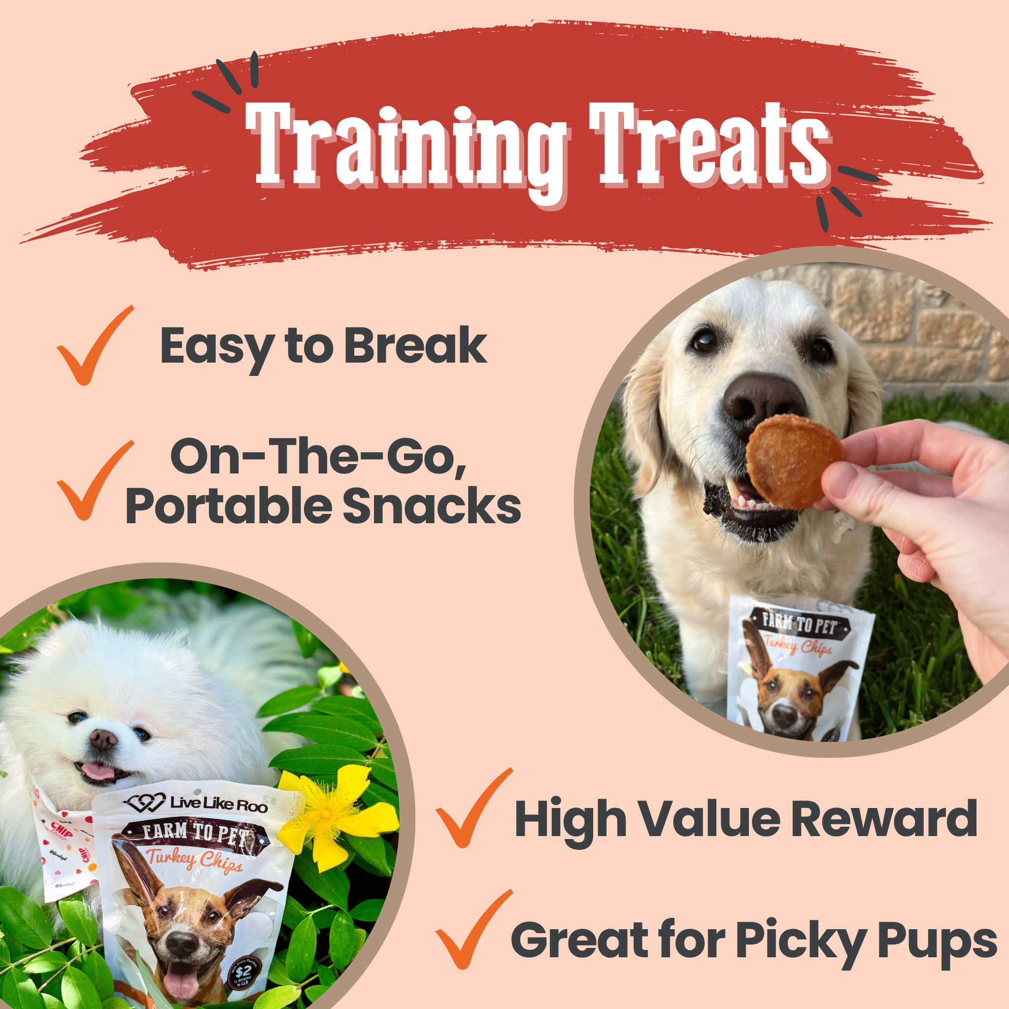 Live Like Roo Turkey Chips | Treats That Give Back