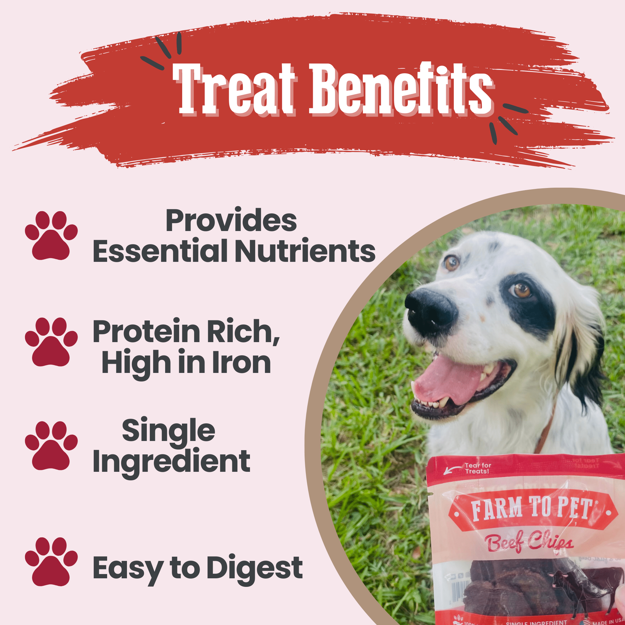 Beef Chips Snack Pack Bundles | Pet Treats for Training & Travel
