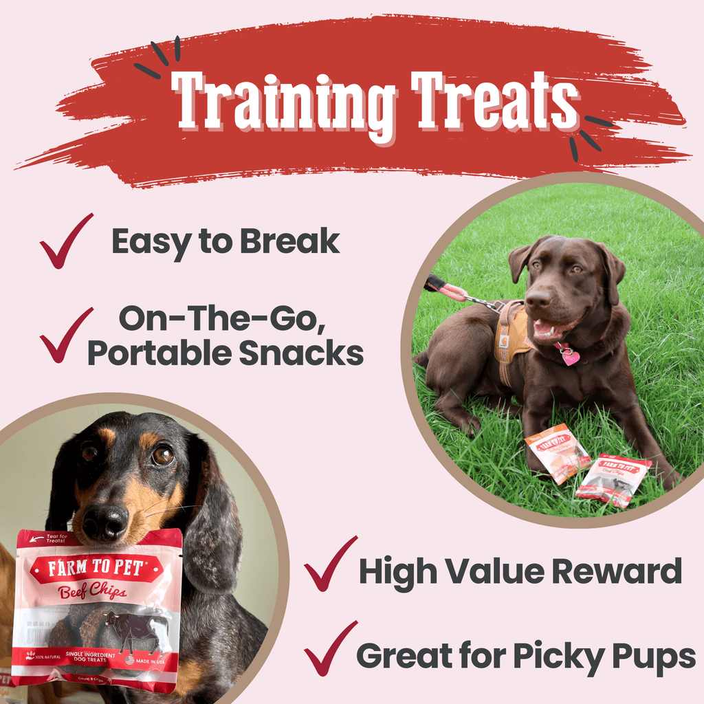 Beef Chips Snack Pack Bundles | Pet Treats for Training & Travel