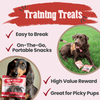 Beef Chips Snack Pack Bundles | Pet Treats for Training & Travel
