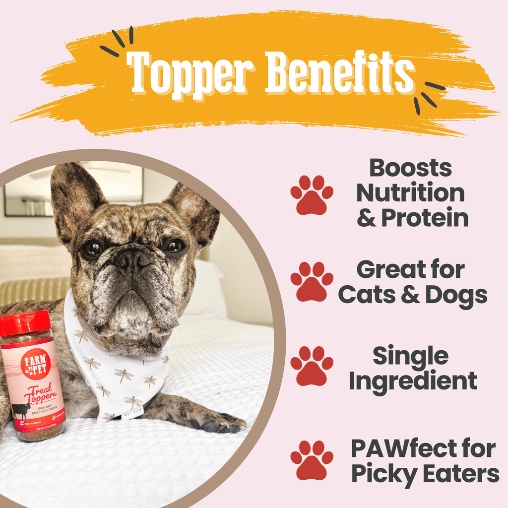 Treat Topper Beef Pet Food Topper | Powdered Meal Topper for Pets