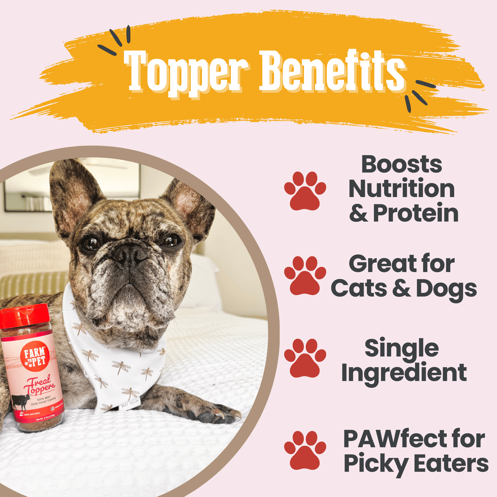 Treat Topper Beef Pet Food Topper | Powdered Meal Topper for Pets