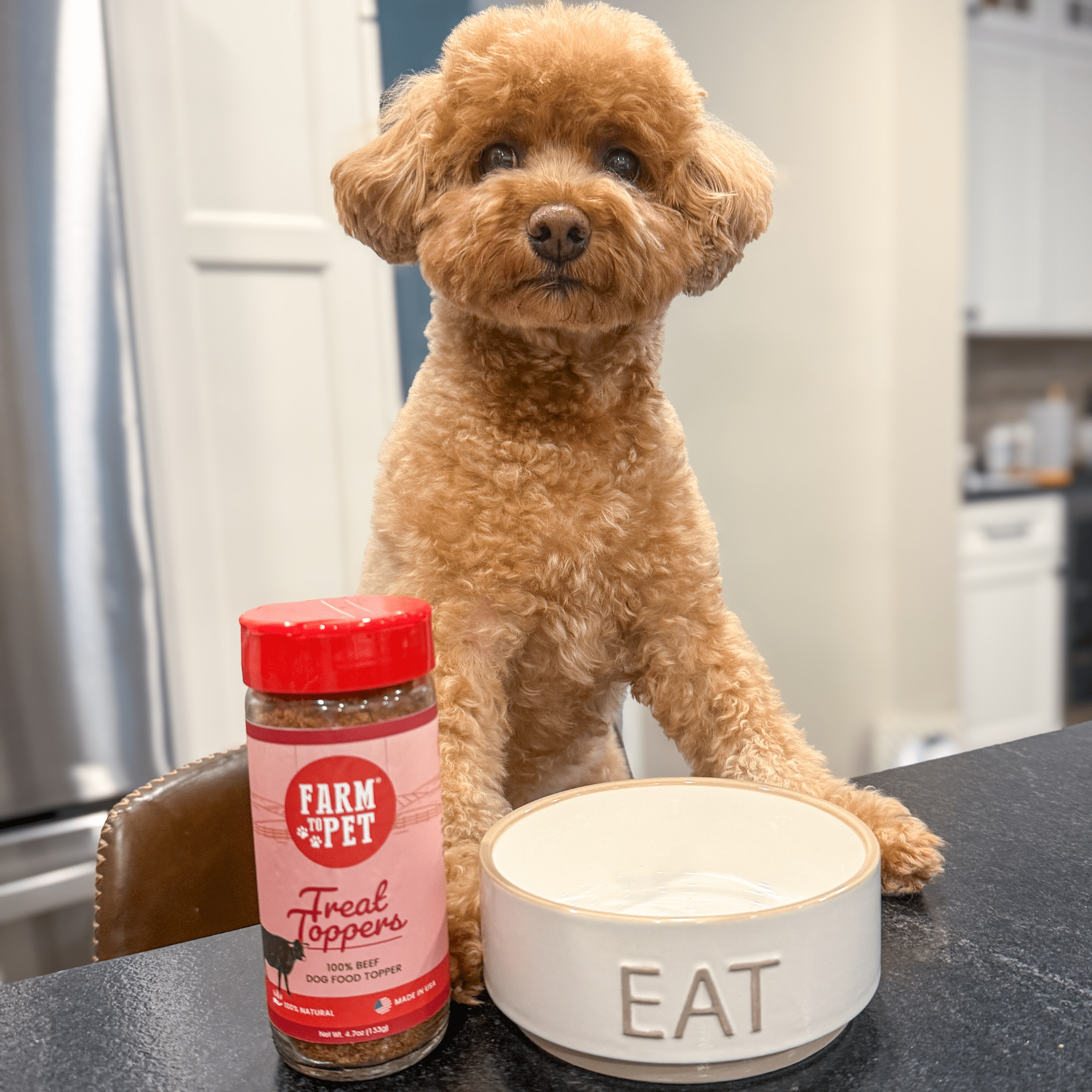 Treat Topper Beef Pet Food Topper | Powdered Meal Topper for Pets