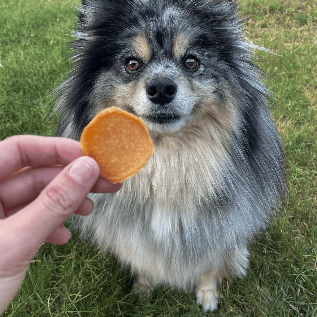 Chicago Chicken Chips | Treats To Celebrate Our Hometown
