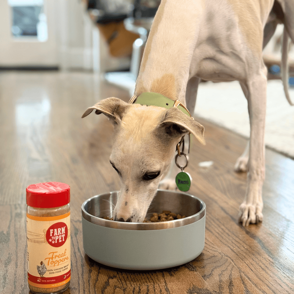 Treat Topper Chicken Pet Food Topper | Healthy Meal Supplement for Pets